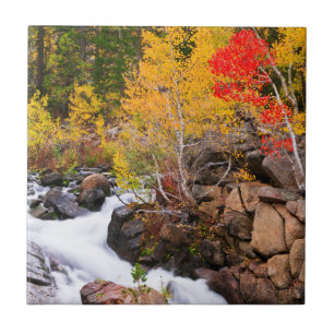 Herbstfarbe entlang Bishop Creek, CA Fliese
