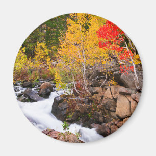 Herbstfarbe entlang Bishop Creek, CA Magnet