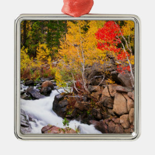 Herbstfarbe entlang Bishop Creek, CA Ornament Aus Metall