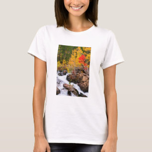 Herbstfarbe entlang Bishop Creek, CA T-Shirt