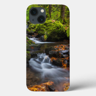 Herbstfarbe entlang der Crewfälle von Starvation Case-Mate iPhone Hülle