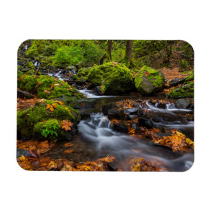 Herbstfarbe entlang der Crewfälle von Starvation Magnet