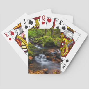 Herbstfarbe entlang der Crewfälle von Starvation Spielkarten