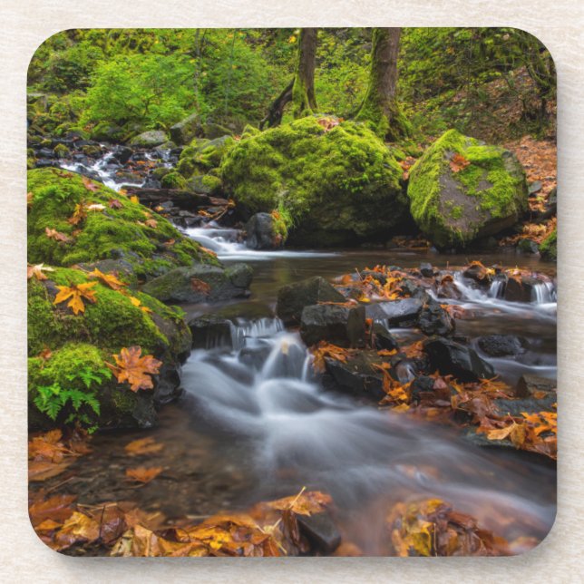 Herbstfarbe entlang der Crewfälle von Starvation Untersetzer (Vorderseite)