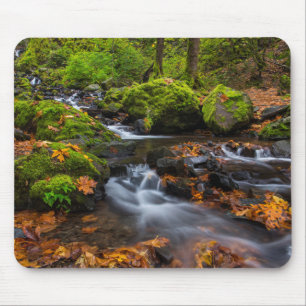 Herbstfarbe entlang der Starvation Creek Falls Mousepad