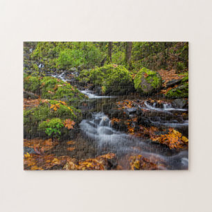 Herbstfarbe entlang der Starvation Creek Falls Puzzle