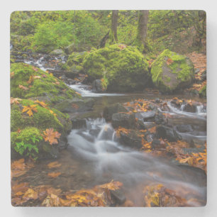 Herbstfarbe entlang der Starvation Creek Falls Steinuntersetzer