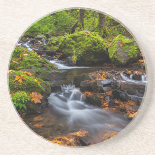 Herbstfarbe entlang der Starvation Creek Falls Untersetzer