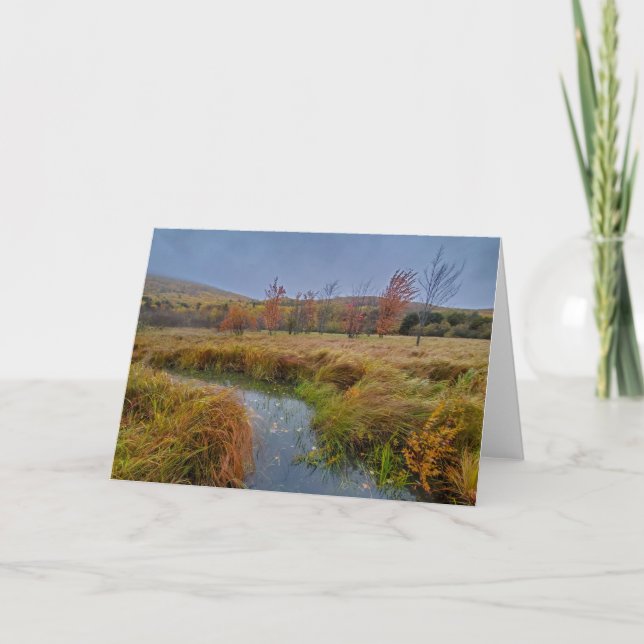 Herbstfarbe im Acadia Nationalpark Karte (Vorderseite)