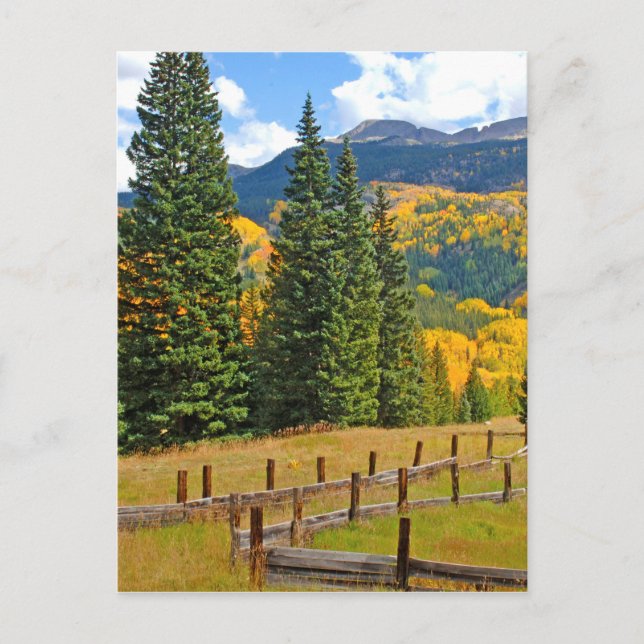 Herbstfarbe im ländlichen Raum Postkarte (Vorderseite)