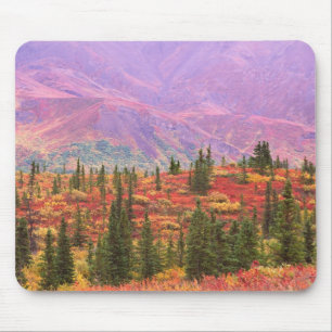 Herbstfarbe im Nationalpark Denali Mousepad