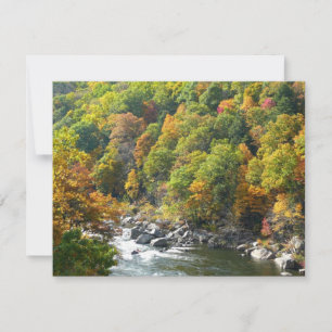 Herbstfarbe im Ohiopyle Staat Park