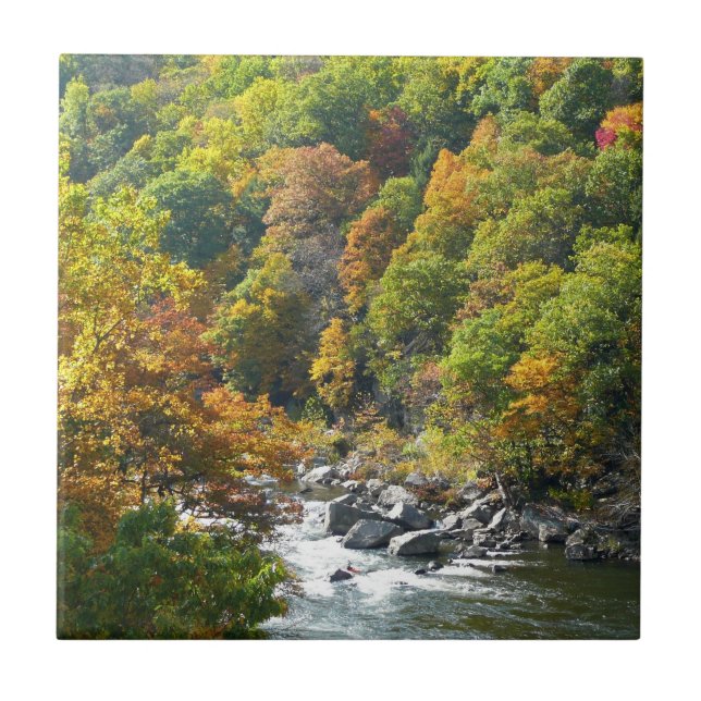Herbstfarbe im Ohiopyle Staat Park Fliese (Vorderseite)