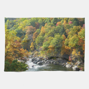 Herbstfarbe im Ohiopyle Staat Park Geschirrtuch