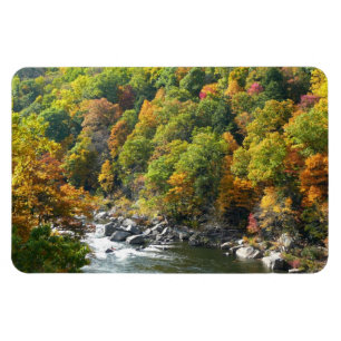 Herbstfarbe im Ohiopyle Staat Park Magnet