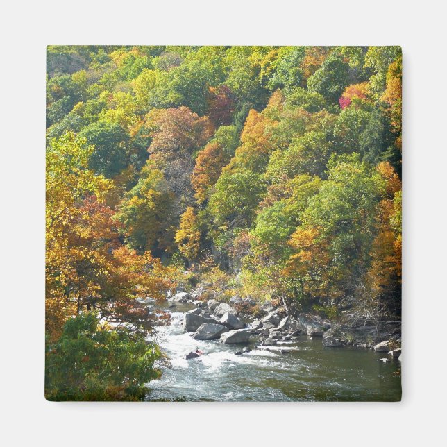 Herbstfarbe im Ohiopyle Staat Park Magnet (Vorne)