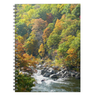 Herbstfarbe im Ohiopyle Staat Park Notizblock