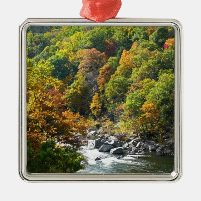 Herbstfarbe im Ohiopyle Staat Park Ornament Aus Metall (Vorne)