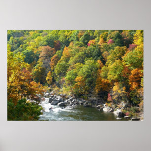 Herbstfarbe im Ohiopyle Staat Park Poster