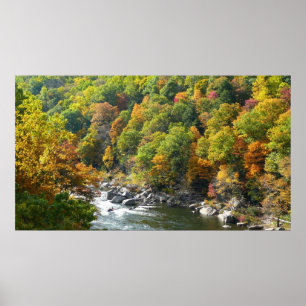 Herbstfarbe im Ohiopyle Staat Park Poster