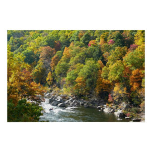 Herbstfarbe im Ohiopyle Staat Park Poster