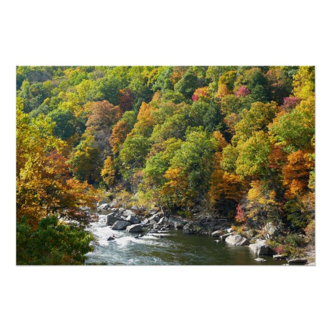Herbstfarbe im Ohiopyle Staat Park Poster (Vorderseite)