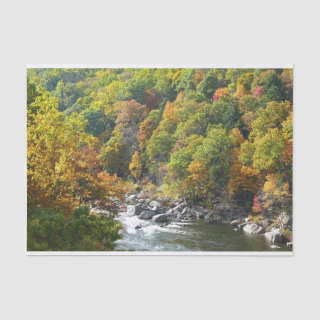 Herbstfarbe im Ohiopyle Staat Park Seidenpapier (Vorderseite)