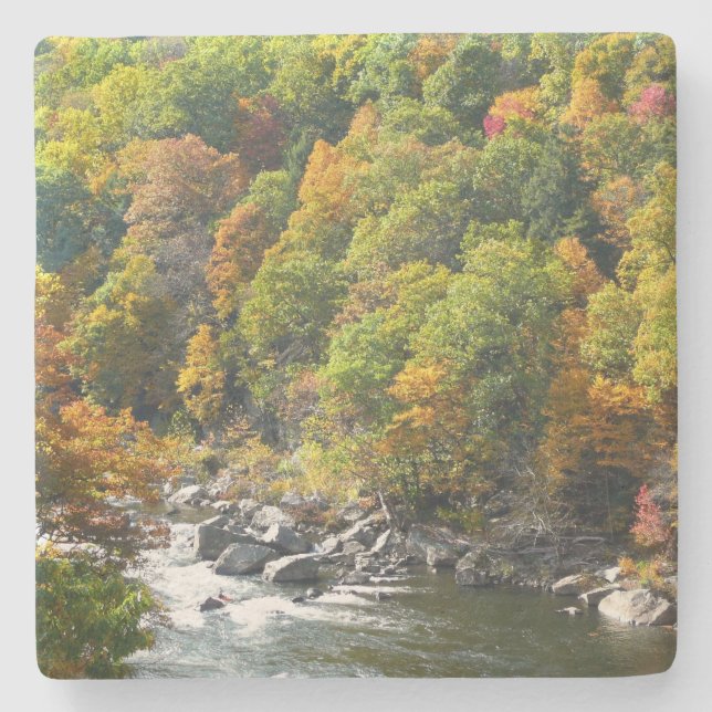 Herbstfarbe im Ohiopyle Staat Park Steinuntersetzer (Vorderseite)