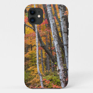 Herbstfarbe im Wald in der Nähe von Copper Harbor Case-Mate iPhone Hülle