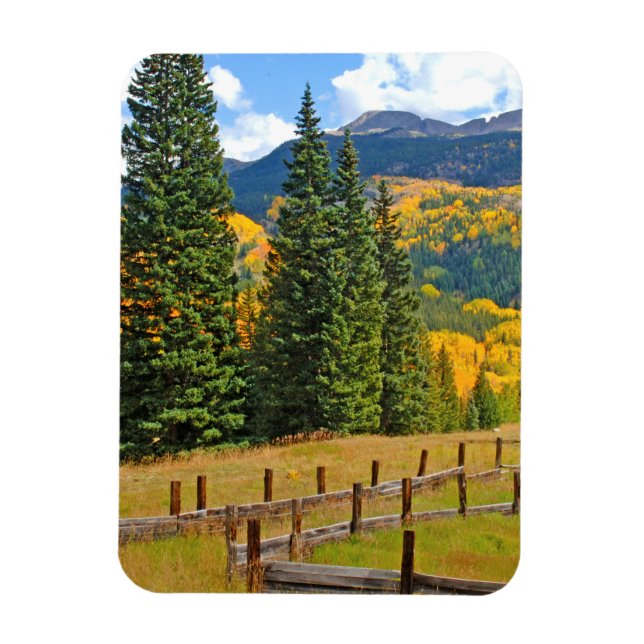 Herbstfarbe in der Landschaft Magnet (Vertikal)
