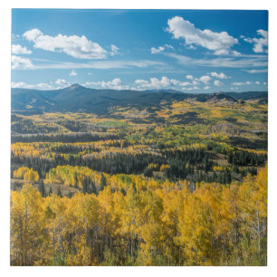 Herbstfarbe in Flat Tops   Routt National Forest Fliese