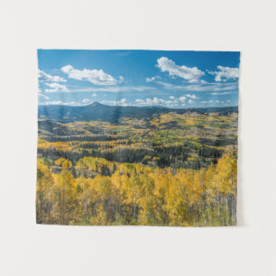 Herbstfarbe in Flat Tops Routt National Forest Wandteppich
