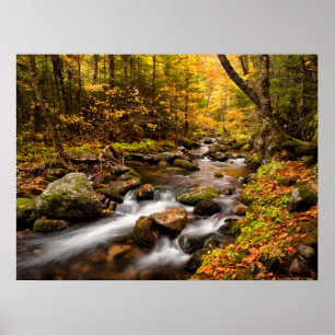 Herbstfarbe Jefferson Brook White Mountains Poster