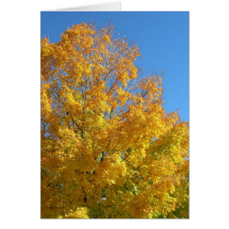 Herbstfarben