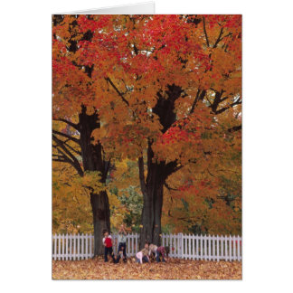 Herbstfarben