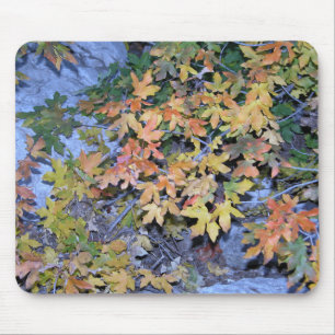 Herbstfarben 1 mousepad