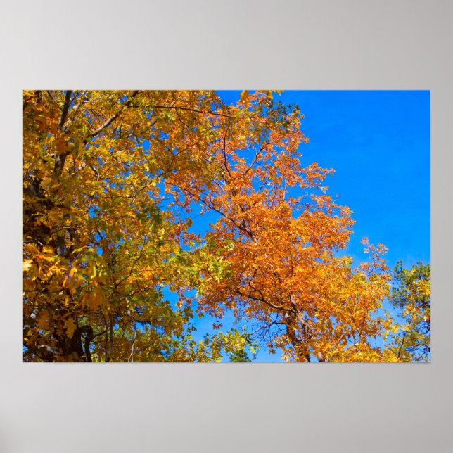 Herbstfarben 3 Poster (Vorne)