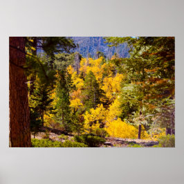 Herbstfarben 6 Poster