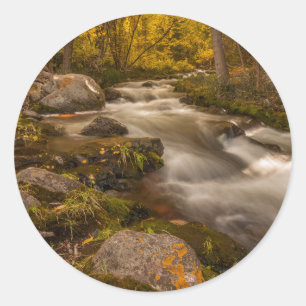 Herbstfarben am Crestone Creek Runder Aufkleber