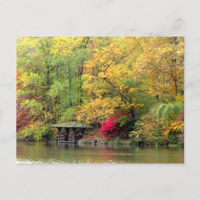 Herbstfarben am Lake Central Park Postkarte (Vorderseite)