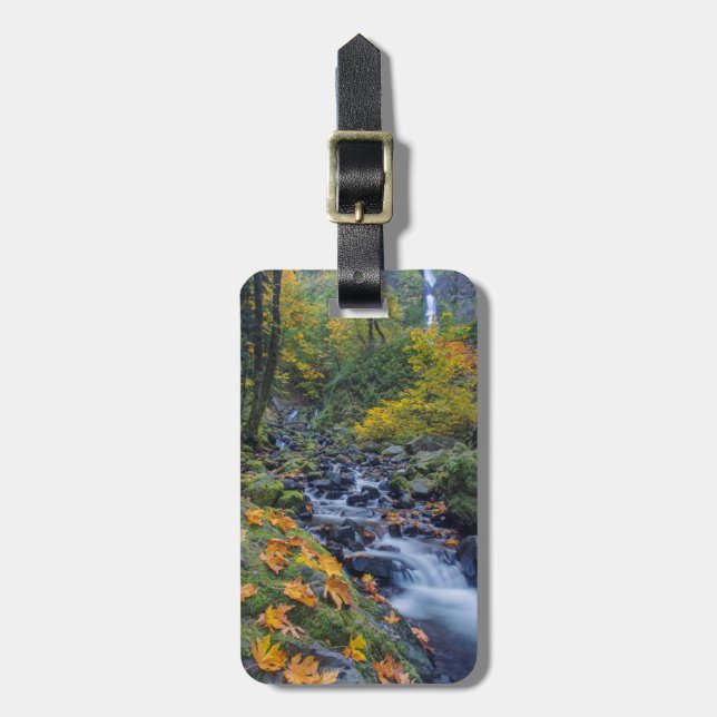 Herbstfarben am Rande der Crewfälle Gepäckanhänger (Vorderseite vertikal)
