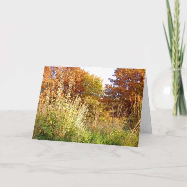 Herbstfarben an der Charter Oak Park, Peoria, IL Karte (Vorderseite)