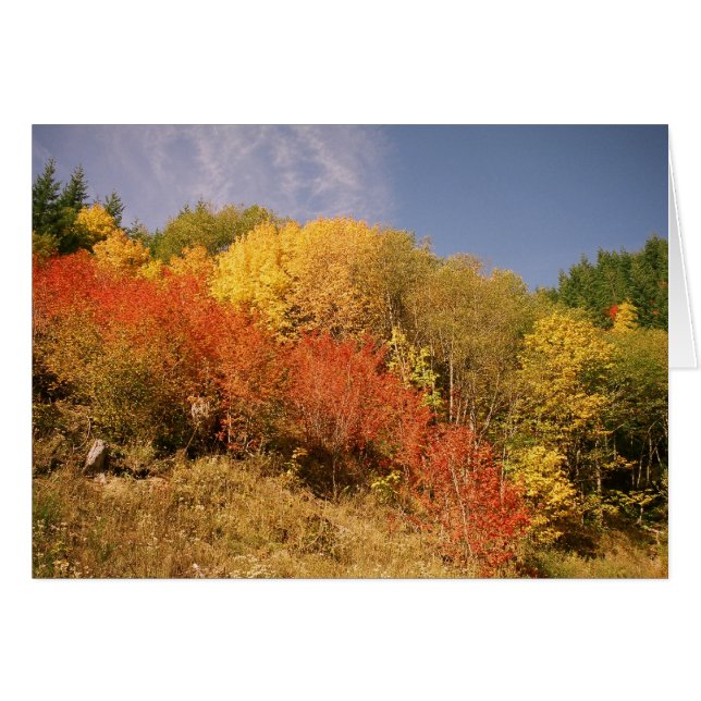 Herbstfarben an Mt.-Haube (Vorderseite (Horizontal))