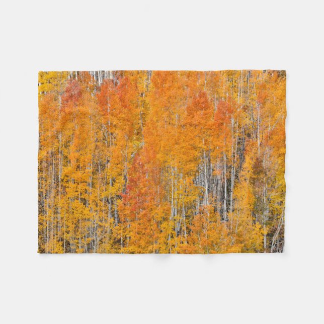Herbstfarben auf Aspen Groves Fleecedecke (Vorderseite (Horizontal))