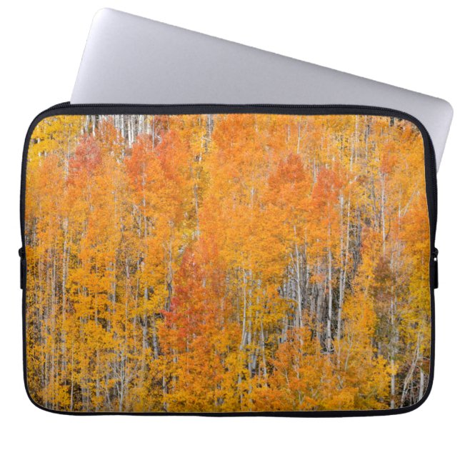 Herbstfarben auf Aspen Groves Laptopschutzhülle (Vorderseite)