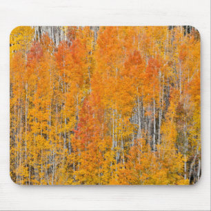 Herbstfarben auf Aspen Groves Mousepad