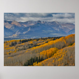 Herbstfarben auf Aspen Groves Poster
