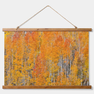 Herbstfarben auf Aspen Groves Wandteppich Mit Holzrahmen