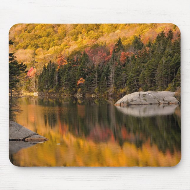 Herbstfarben auf dem Biberteich Mousepad (Vorne)