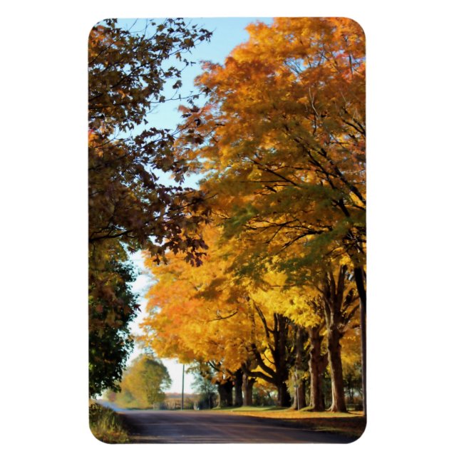 Herbstfarben auf der Landstraße Magnet (Vertikal)